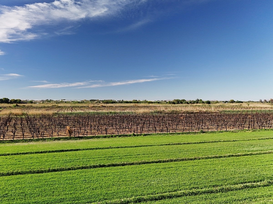 Commercial Property for Sale in Keimoes Rural Northern Cape